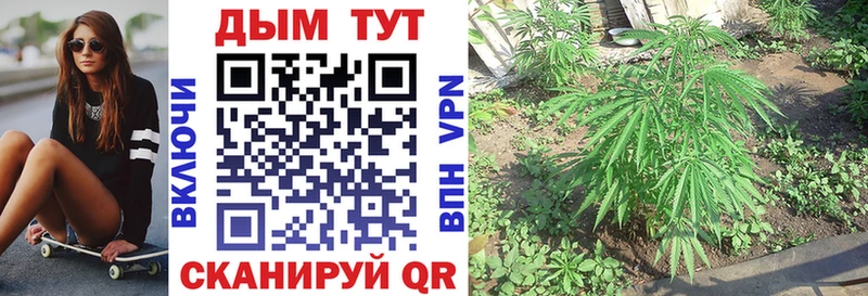 Купить Канабис  СК  Кетамин  COCAIN  Мефедрон  Гусь-Хрустальный