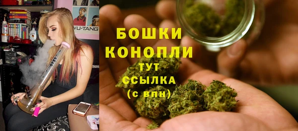 сатива Алагир